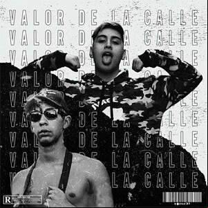 Álbum Valor de la Calle de Tiago PZK